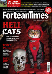 Fortean Times #399 (December 2020)