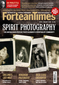 Fortean Times #375 (January 2019)